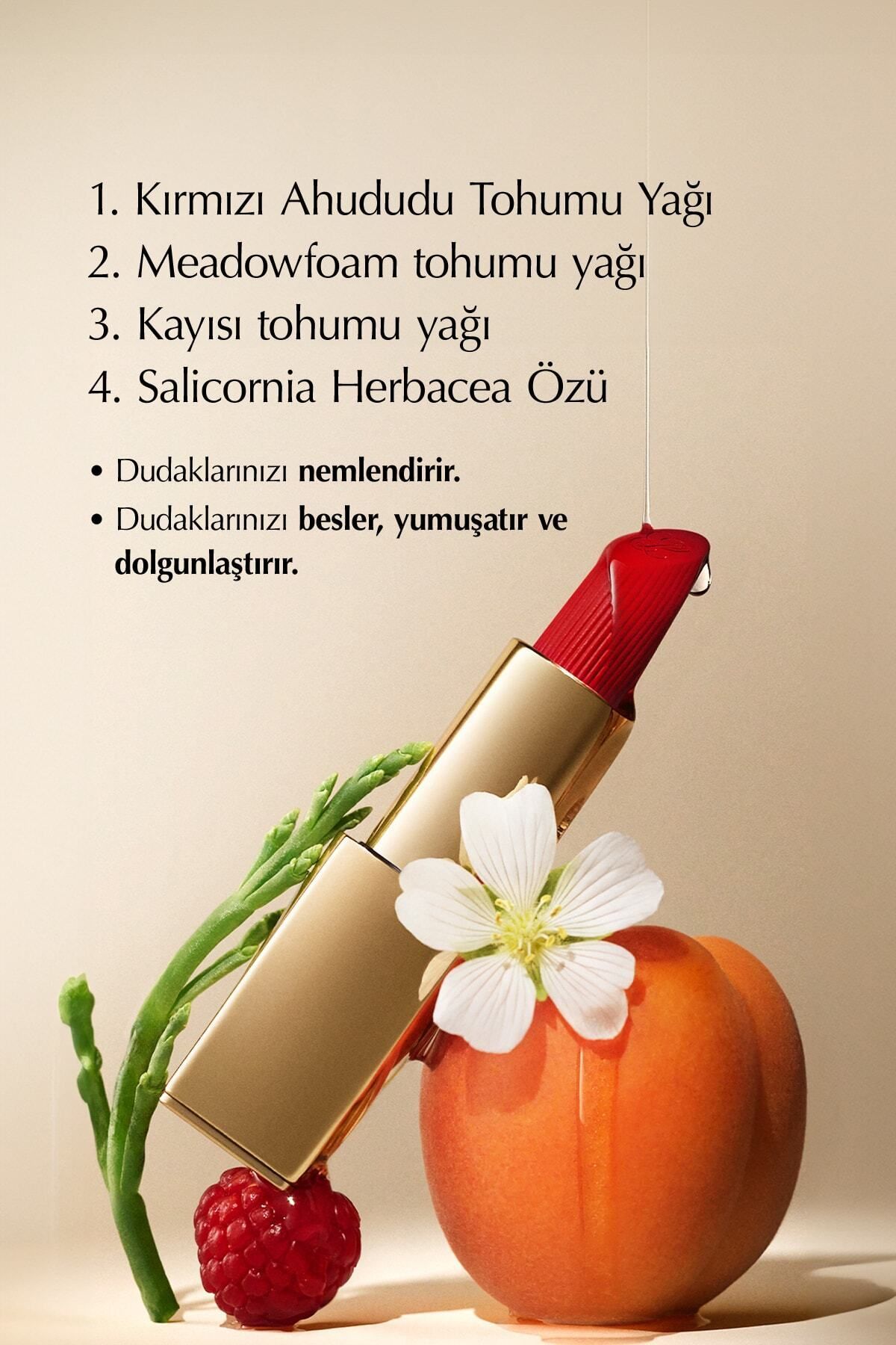 Estee Lauder-Long Lasting Matte Lipstick - for Plump and Smooth Lips, -3.5Gr-569 Fearless Pssns.229 4