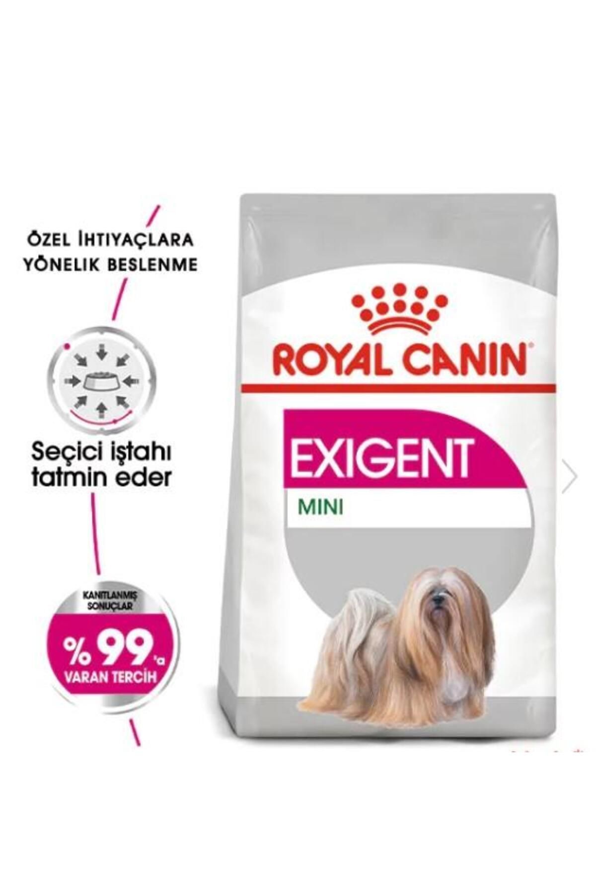 Royal Canin Exigent Mini Yetişkin Köpek Maması 3kg