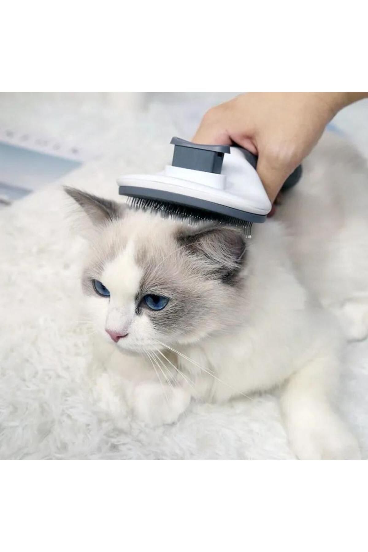 Albayrak Otomatik Tuşlu Kedi Köpek Tarama Fırçası Tımar Tarağı Yumuşak Uçlu Tüy Toplayıcı