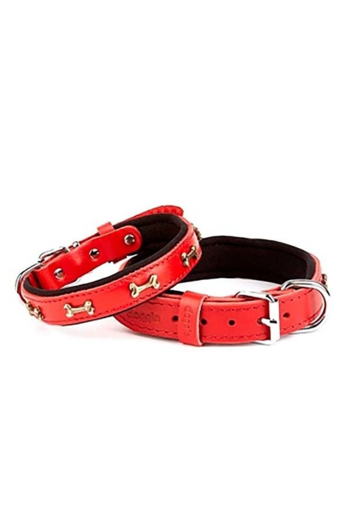 O Dog Doggie Comfort Deri Kemik Süslü Köpek Boyun Tasması Small Kırmızı 2x30-35 Cm - Petshopundan
