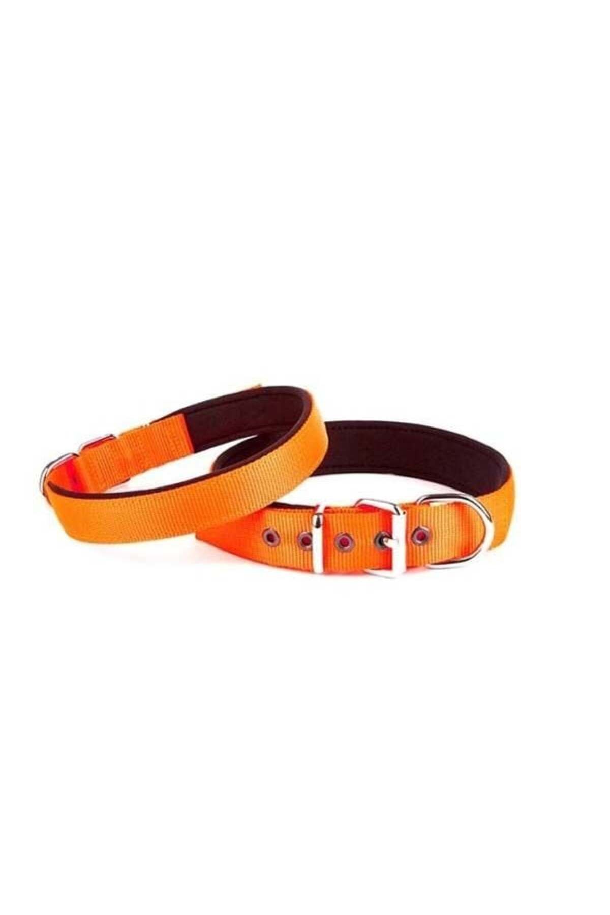 O Dog Doggie Comfort Dokuma Köpek Boyun Tasması Medium Turuncu 2.5x37-45 Cm - DSBT2510MORANGE - Petshopund