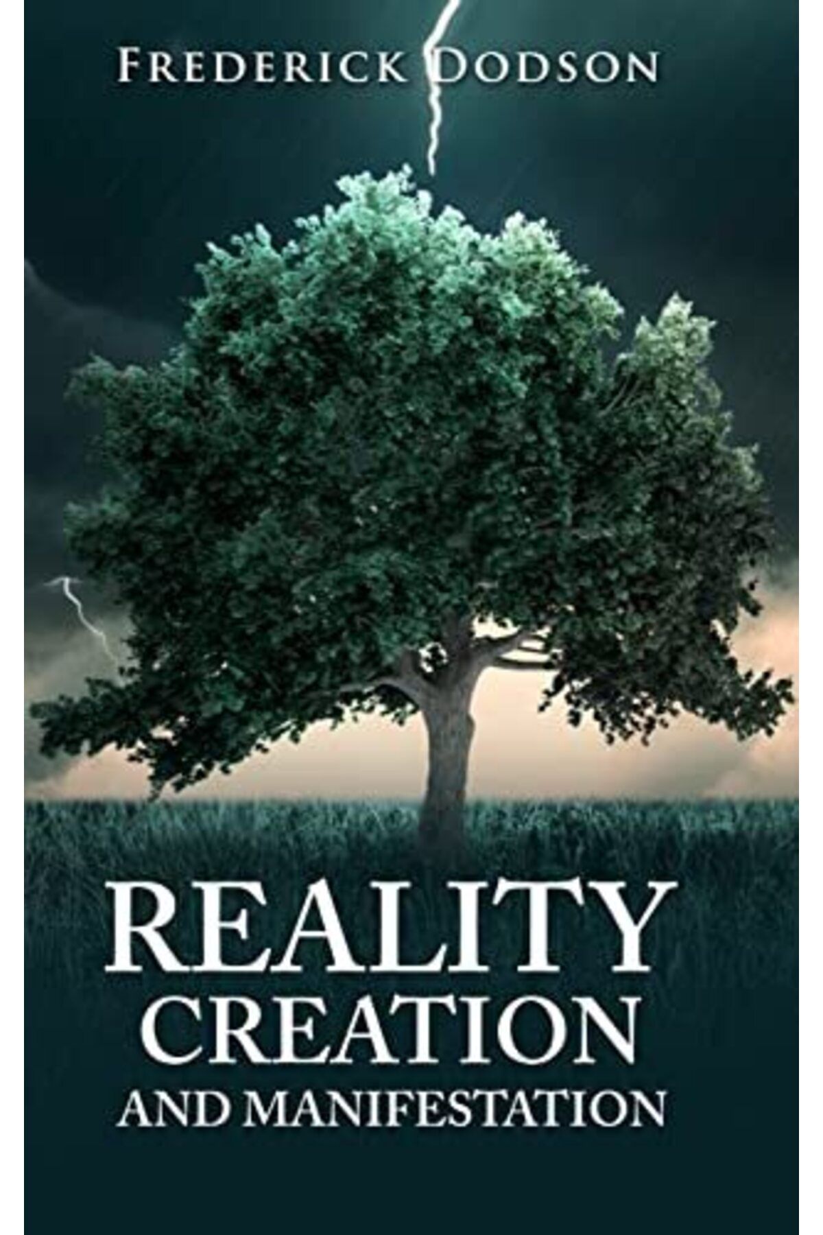 Lulu.com-Reality Creation and Manifestation 1
