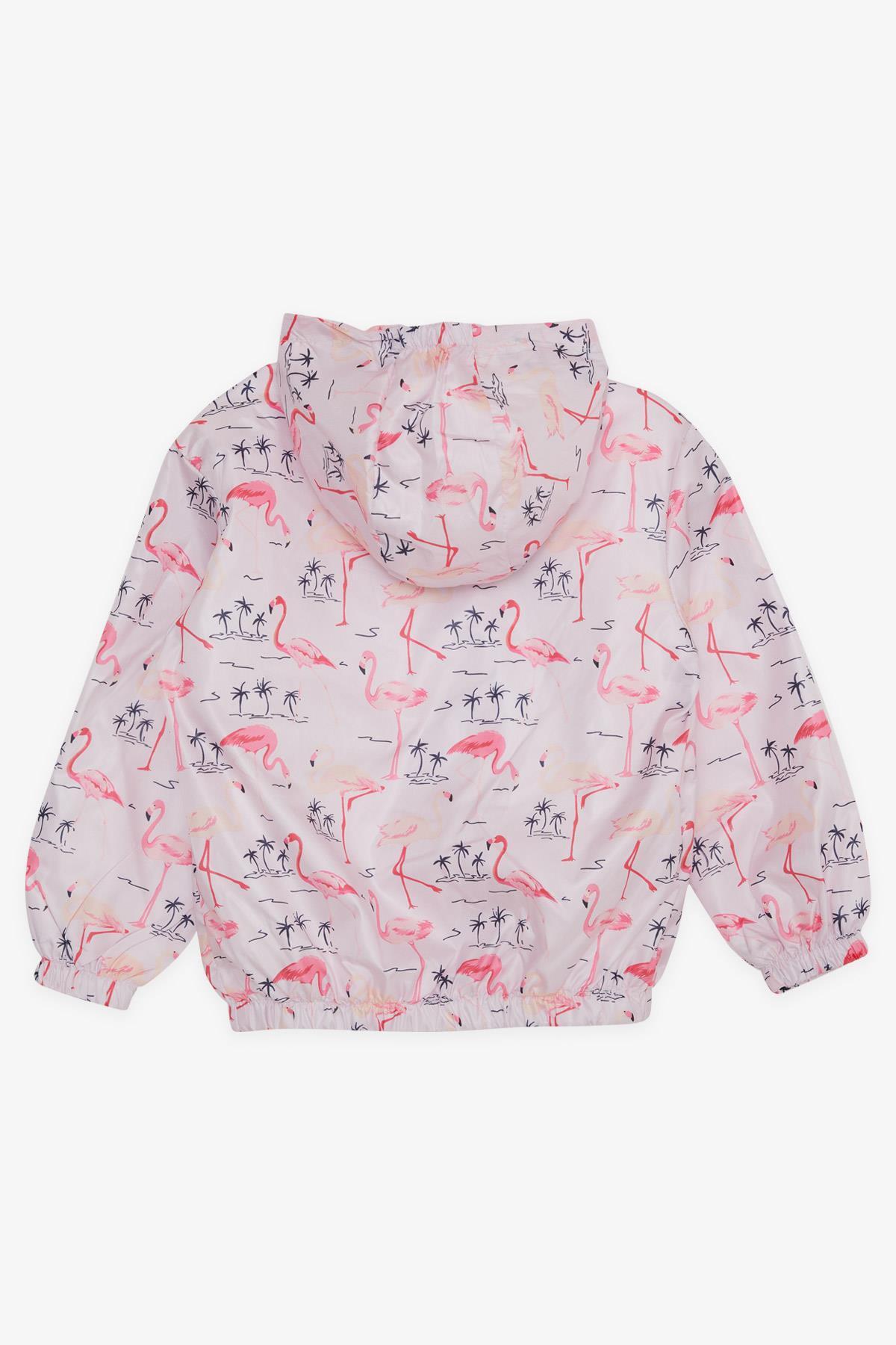 Breeze Kız Çocuk Yağmurluk Sevimli Flamingo Desenli 1-5 Yaş, Pudra fotoğrafı 7 (önizleme)