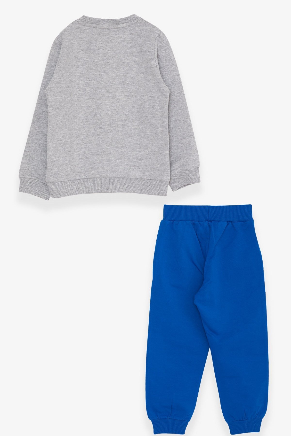 Breeze Erkek Çocuk Eşofman Takımı Koala Baskılı 1-4 Yaş, Açık Gri Melanj fotoğrafı 2 (önizleme)