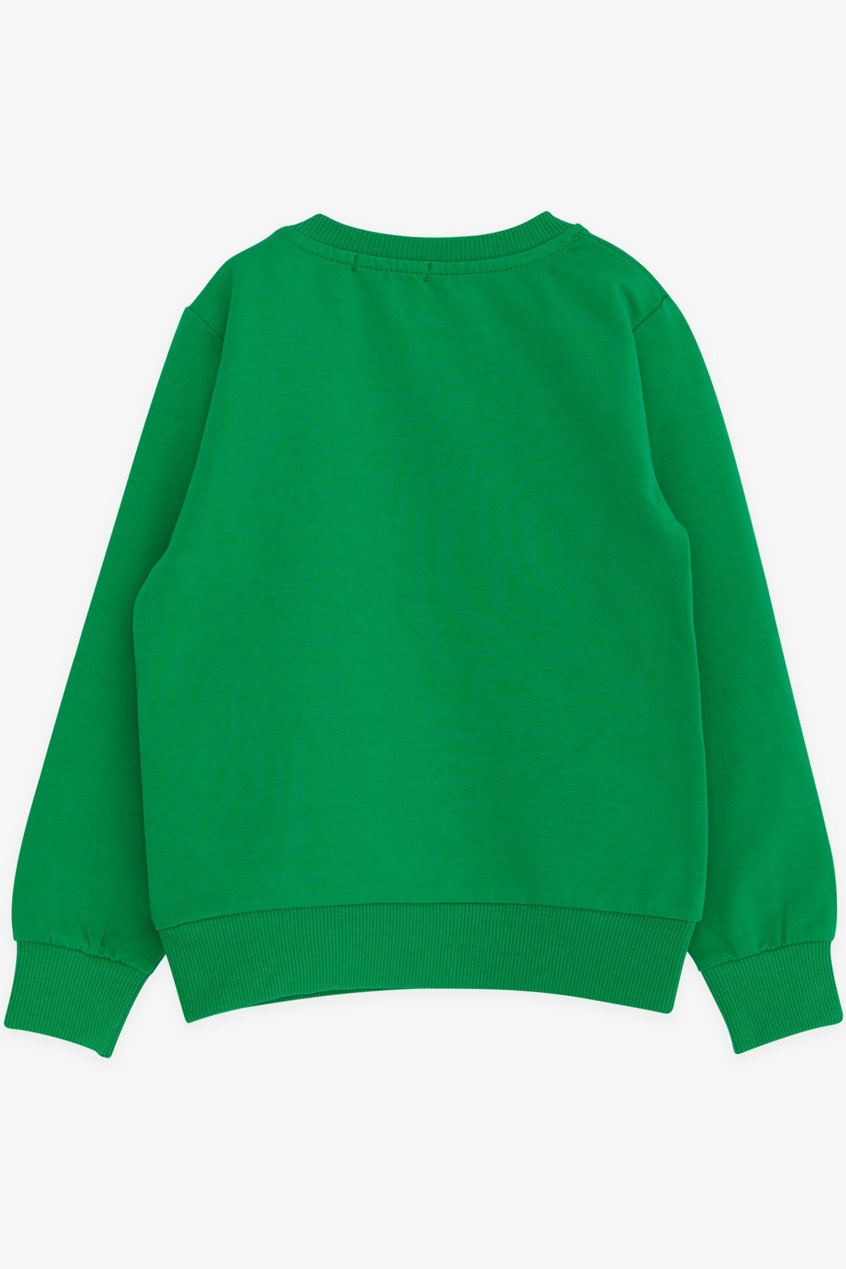 Breeze Erkek Çocuk Sweatshirt Yazı Baskılı 2-6 Yaş, Yeşil fotoğrafı 2 (önizleme)