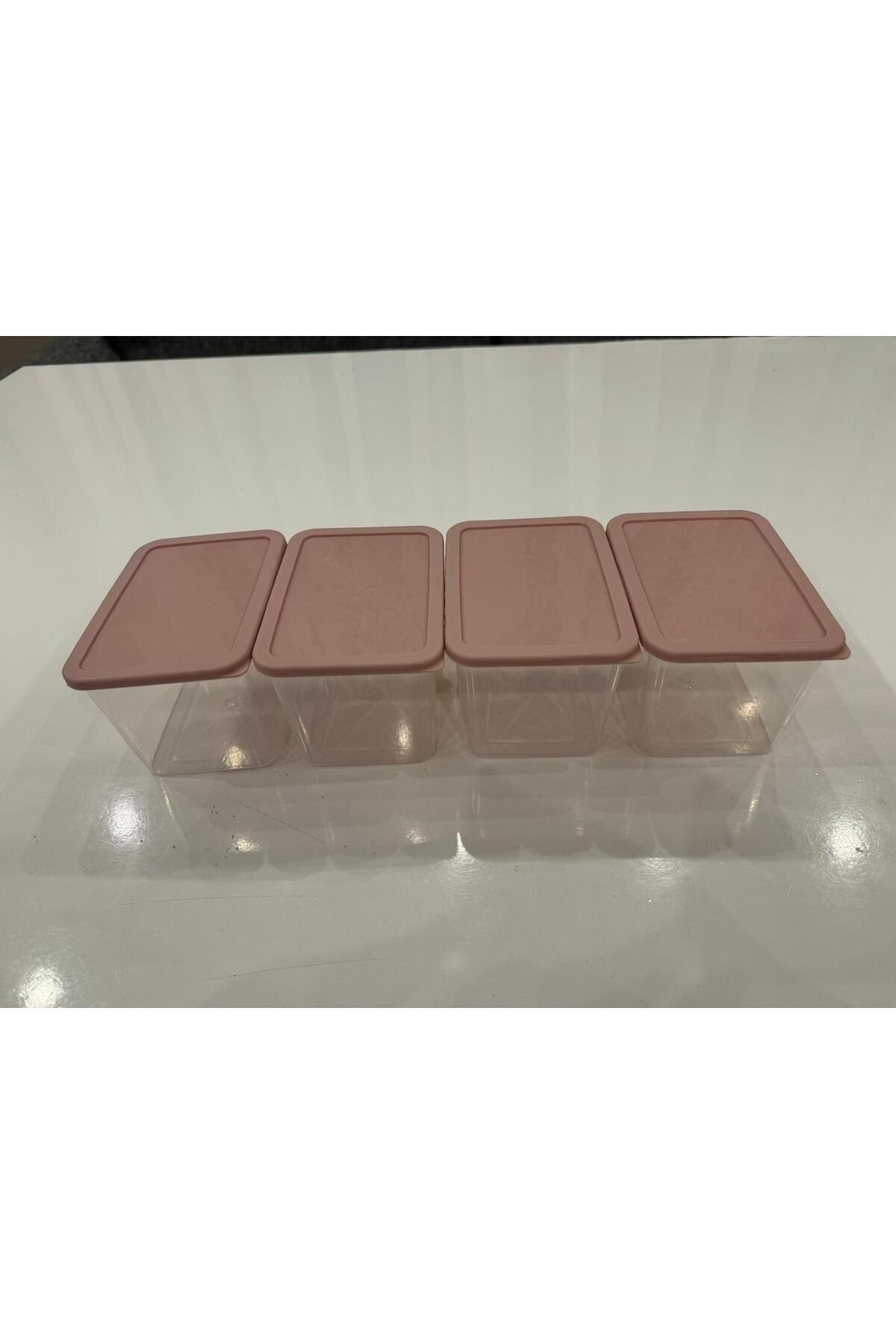 Minty Life-10 Pcs 0.5 Liter with Lid Ice Box Storage Container Deep Freezer Storage Container 7