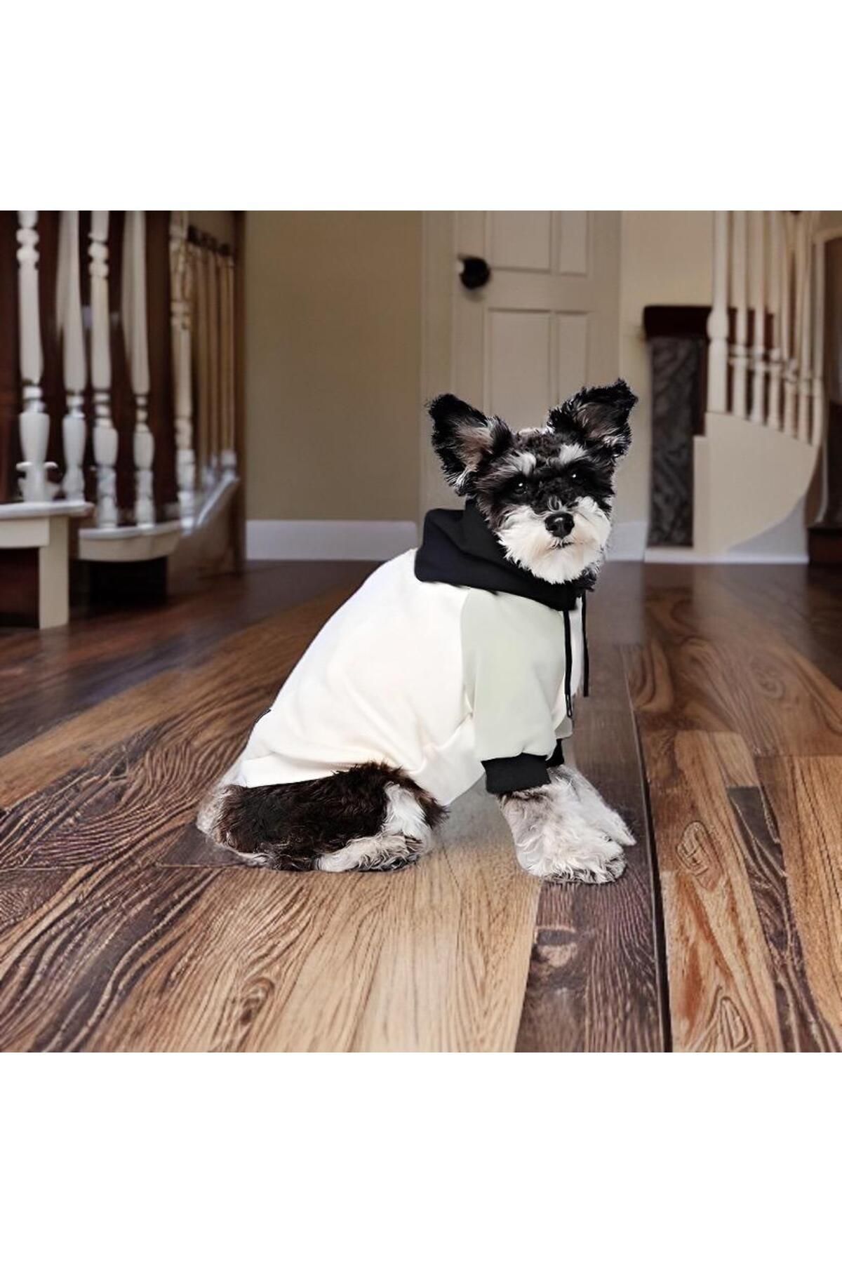 Kapişonlu Polar Sweatshirt Kedi Ve Köpek Kıyafeti Pamuk Yumuşak Dog Hoodie