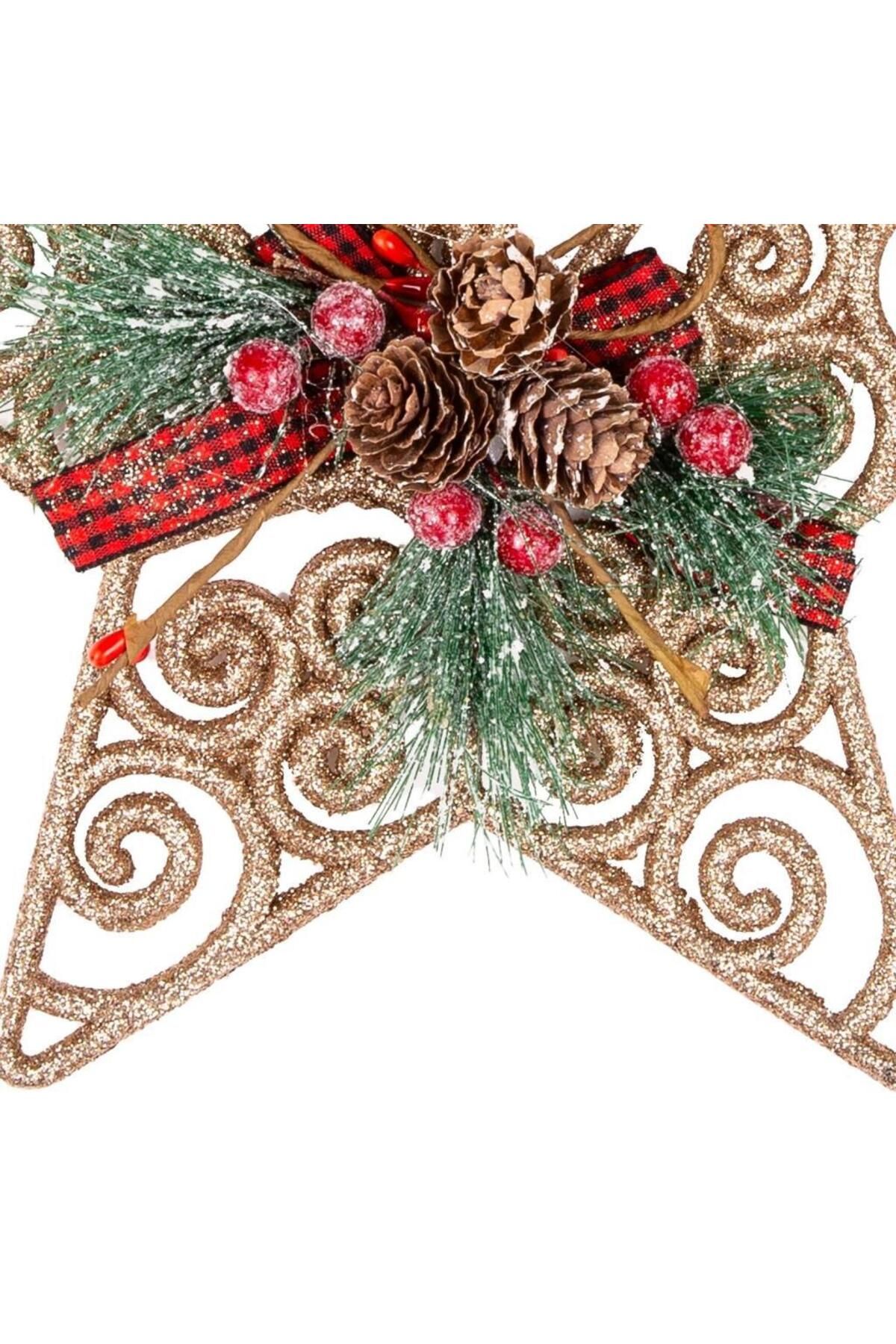 ÇIRPAN EV-Xmas Decor with Gold Silvery Cocalac 22cm 2