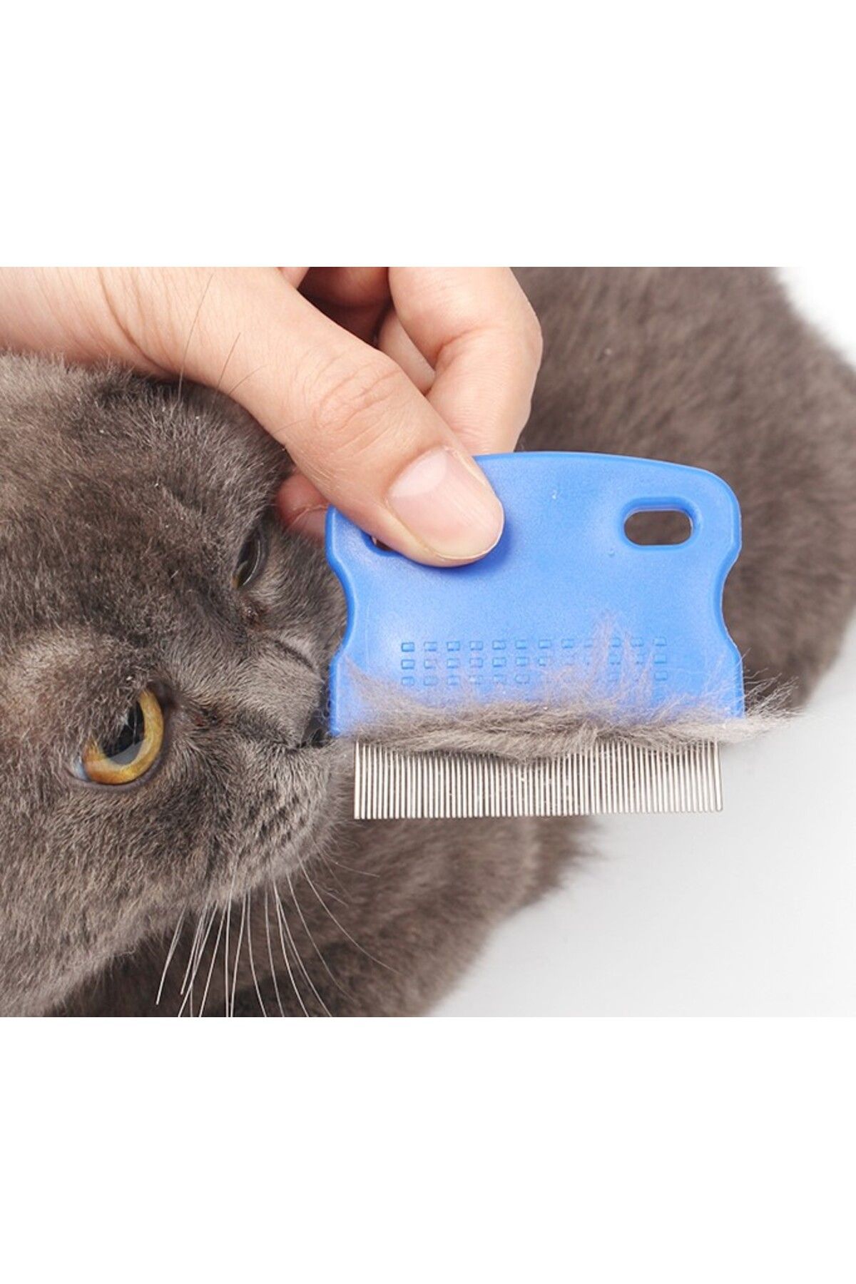 MAGNESİA-Cat Dog Flea and Flea Comb 1