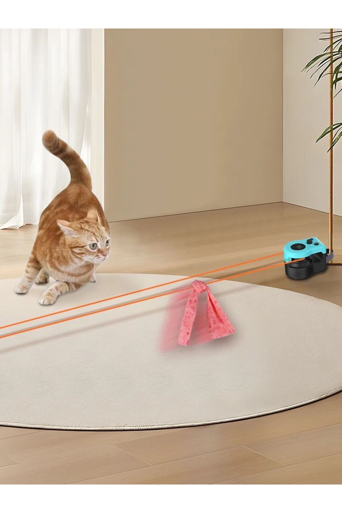 Choice-Cat Toys Cat Wheel Exerciser New Cat Treadmill for Indoor Adjustable Speed Simulated Interactive ... 8