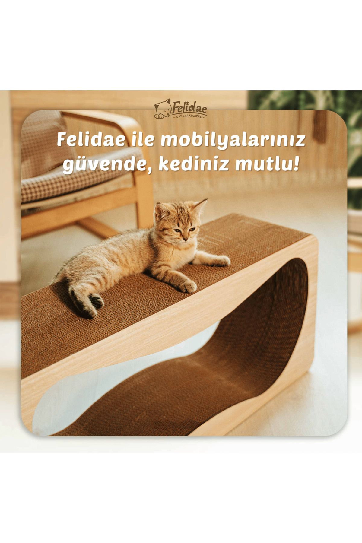 Felidae Oluklu Mukavva, Kedi Tırmalama Kanepesi – Yatay Tırmalama / Xlarge (75X36X24CM) - Bej Ahşap Renk