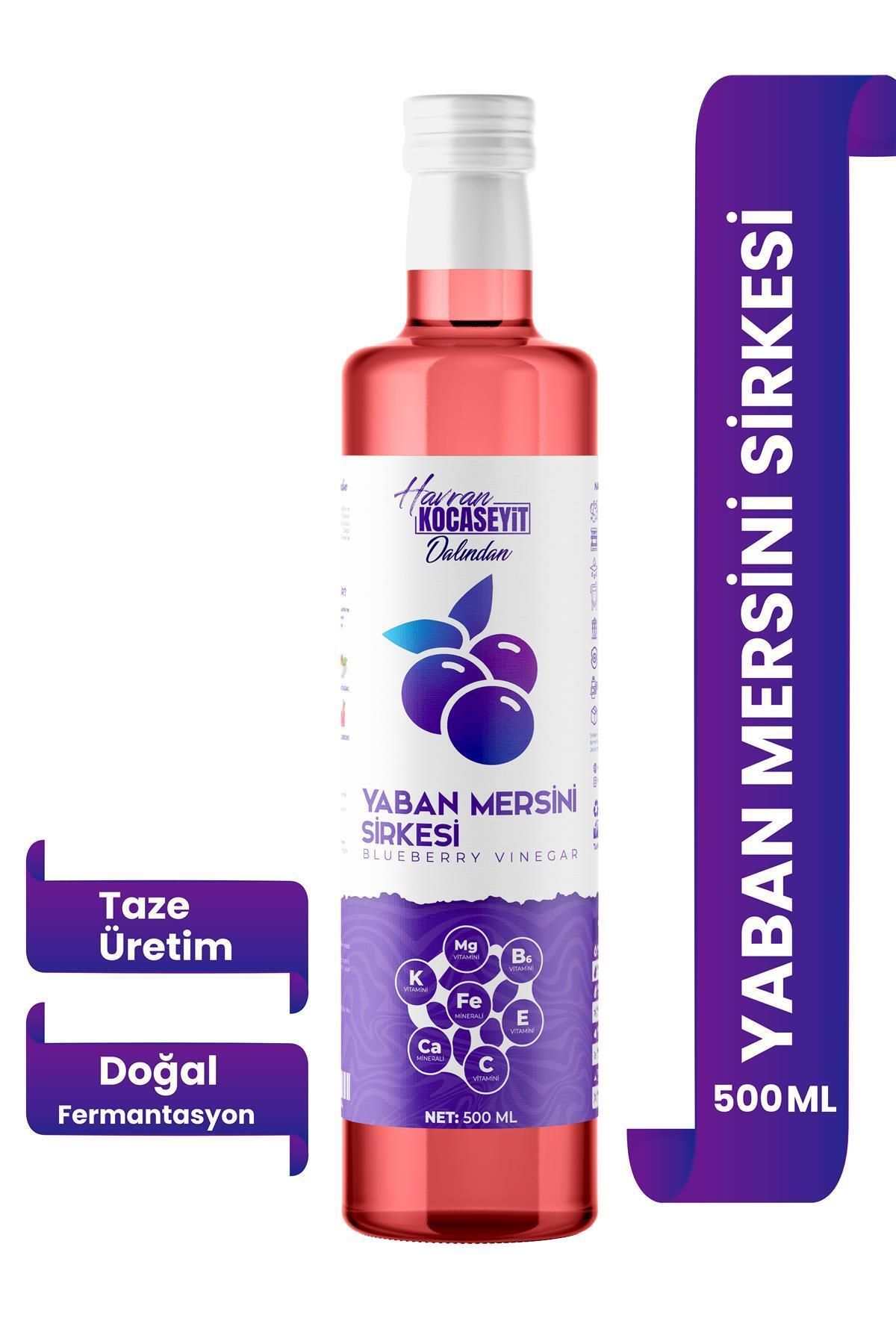 Doğal Antioksidan Yaban Mersini Sirkesi 500 ml