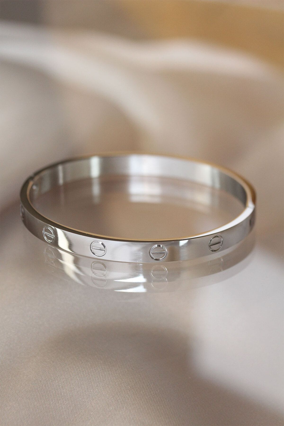 BirdoluSepet 316L Çelik Silver Renk Bilezik