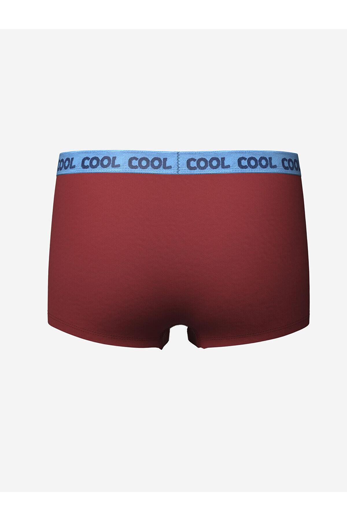 LC Waikiki-Boxeri pentru băieți cu imprimeu LCW Kids, 3 buc 5