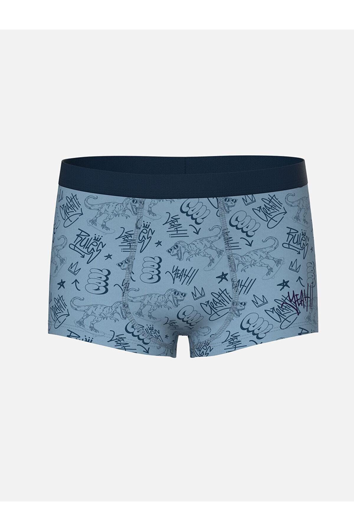 LC Waikiki-Lcw Kids Printed Boys' Boxers 3-Piece 2