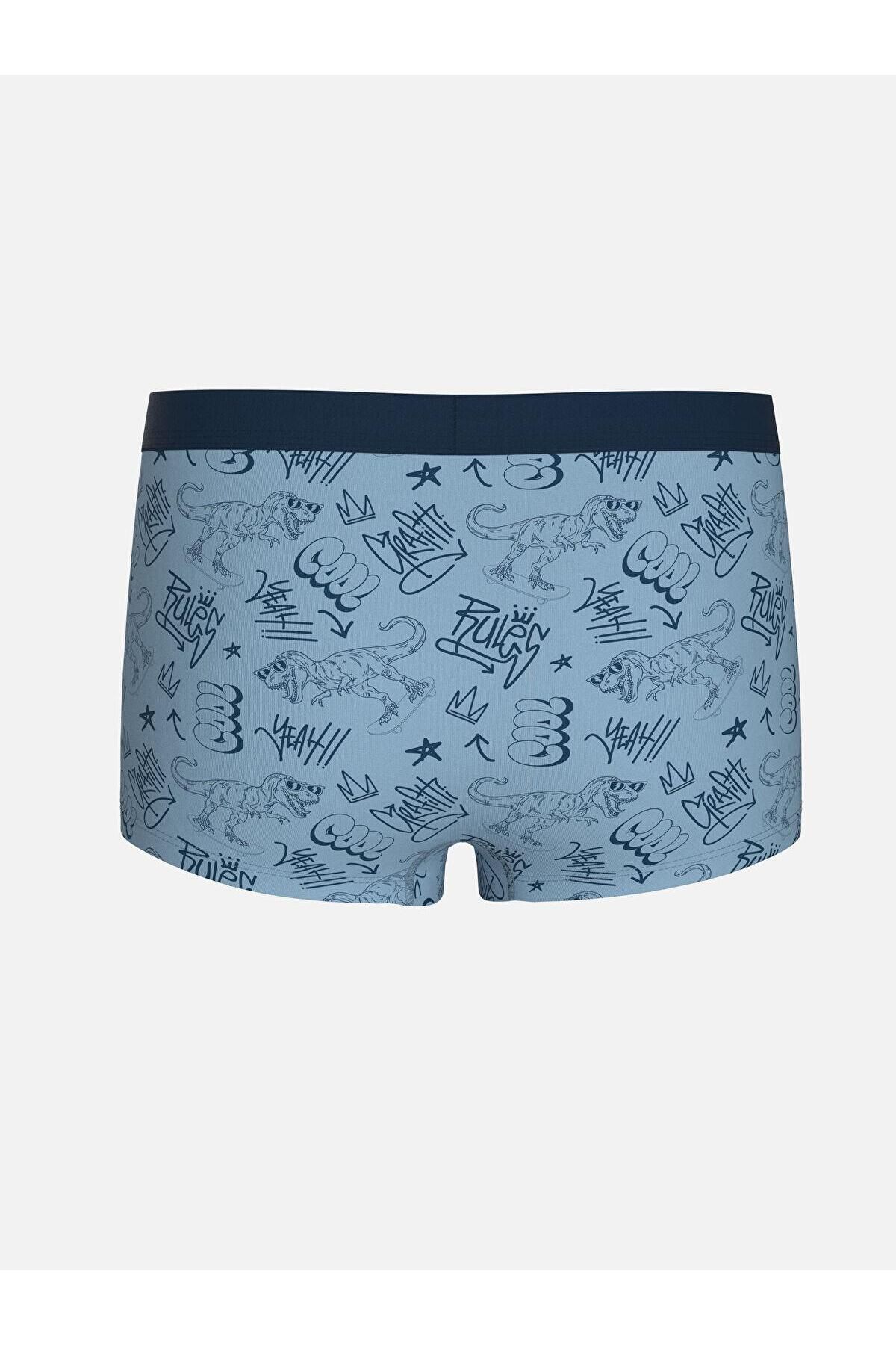 LC Waikiki-Lcw Kids Printed Boys' Boxers 3-Piece 5