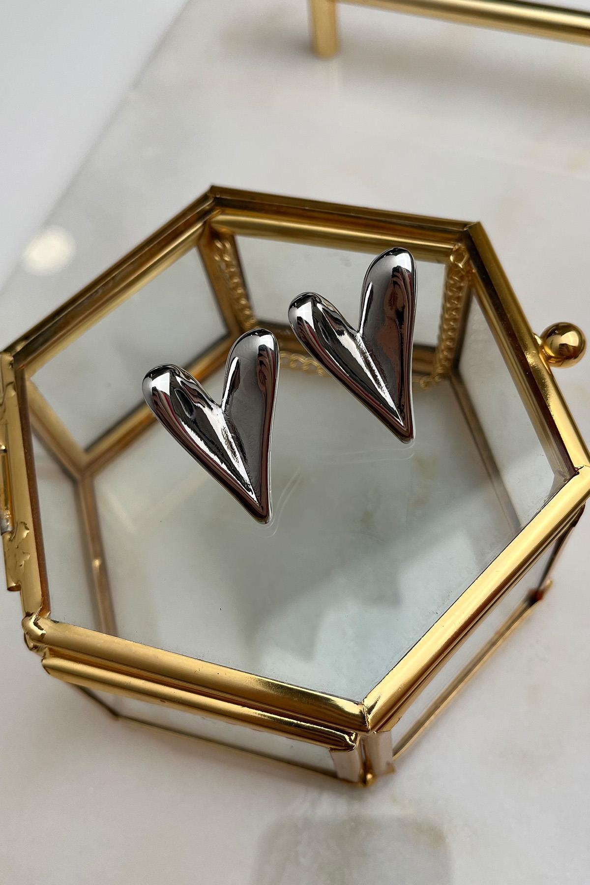 Flat Plate Heart Earrings (SIZE:3 CM)