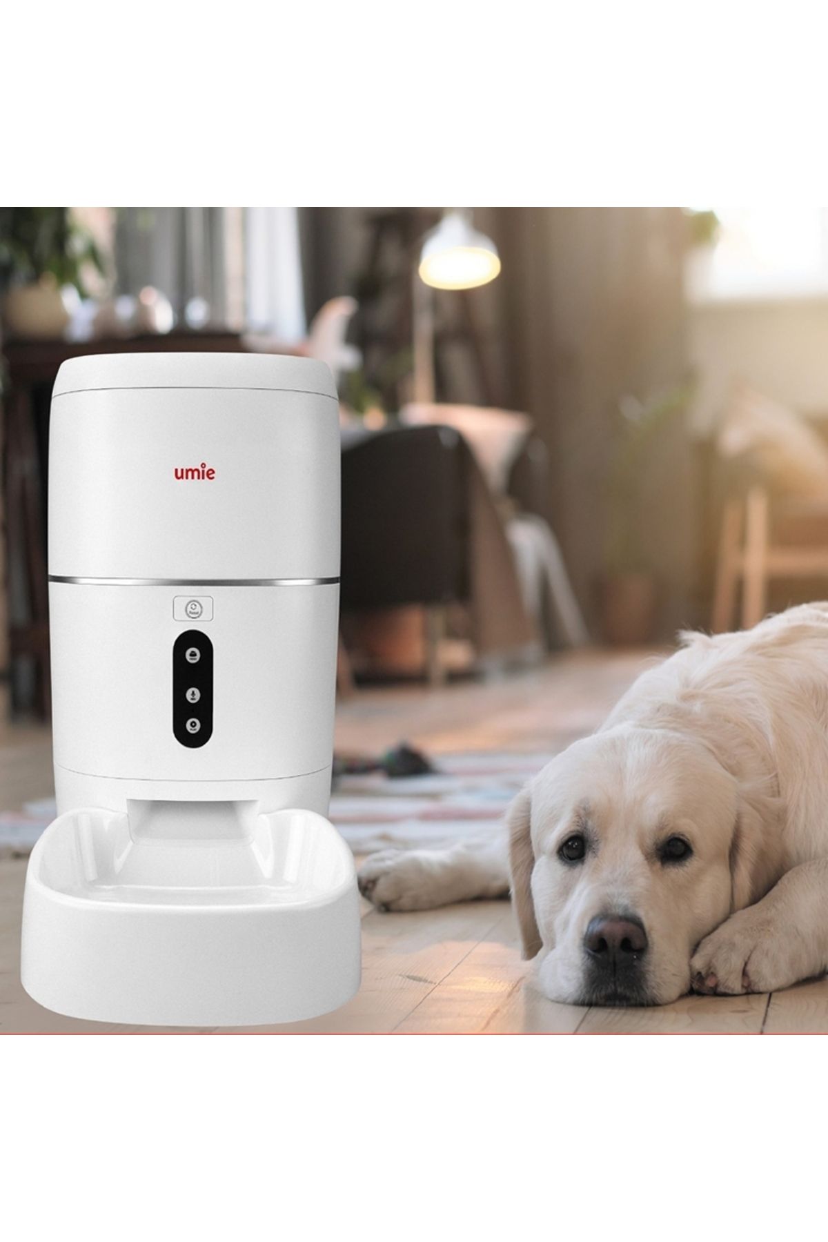 gaman-Wireless Pet Feeder 6L Wifi+Bt Tuya Supported Automatic Voice Message Remote Control 2