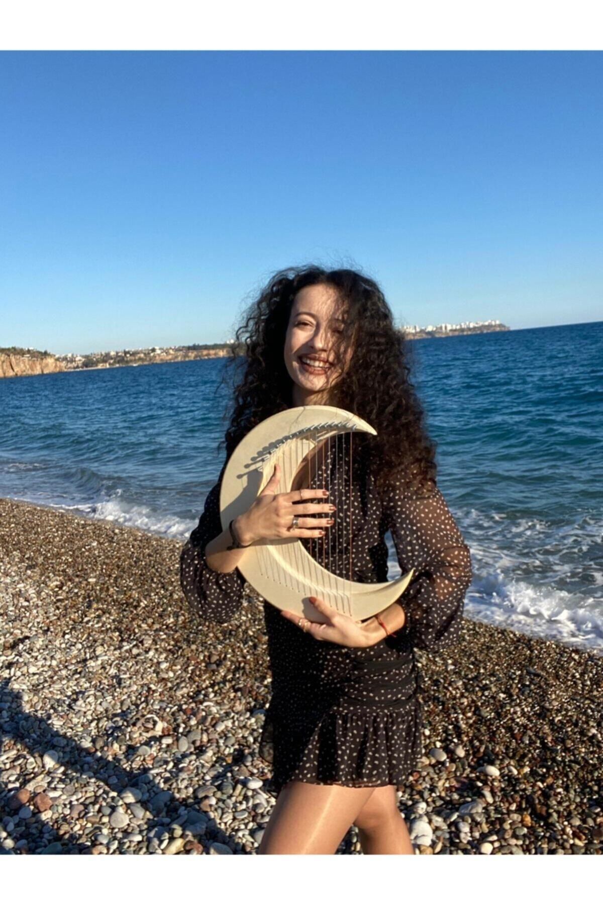 miniarpturkiye-18 String Mega Size Pro Moon Lyre Harp 2