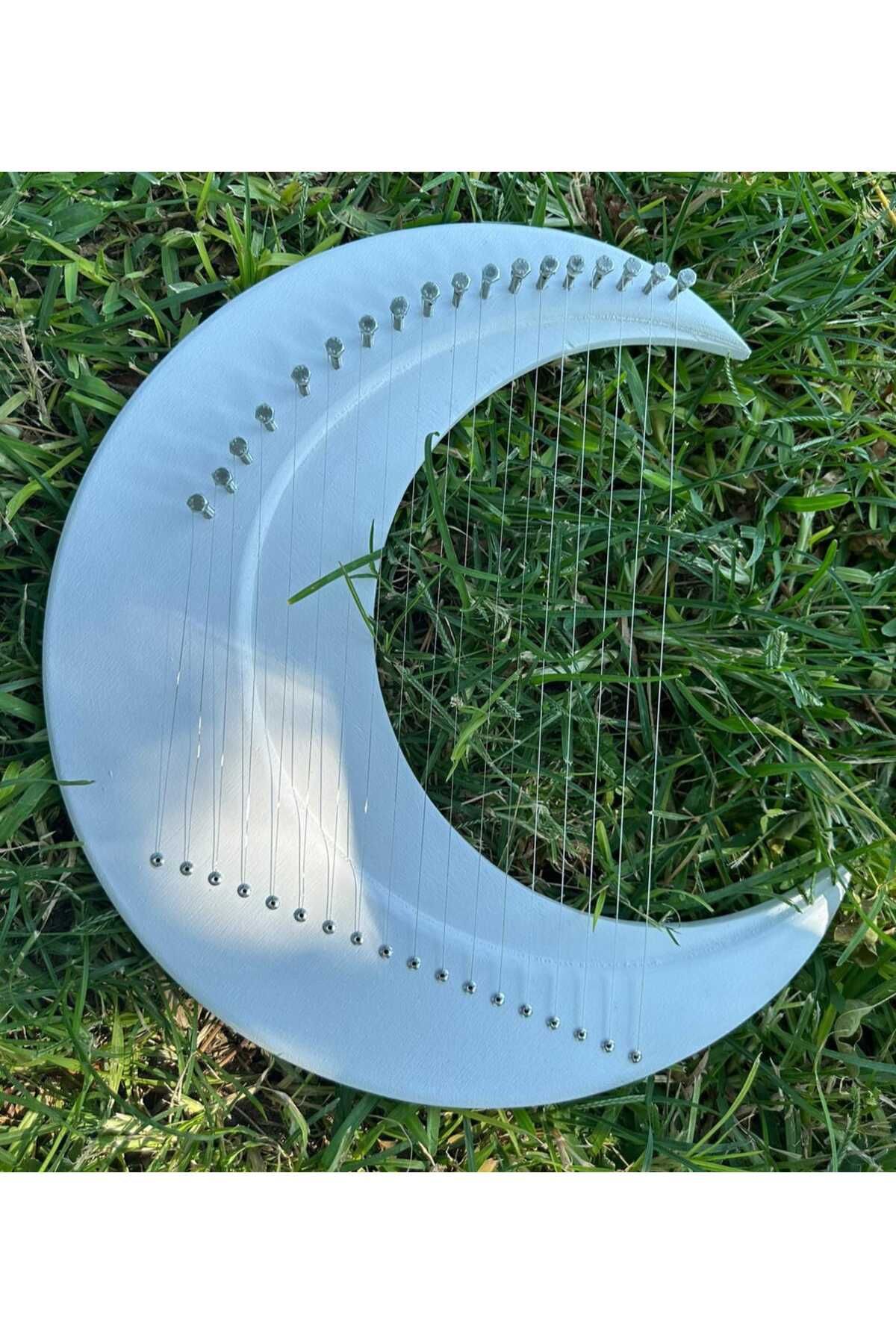 miniarpturkiye-18 String Mega Size Pro Moon Lyre Harp 5