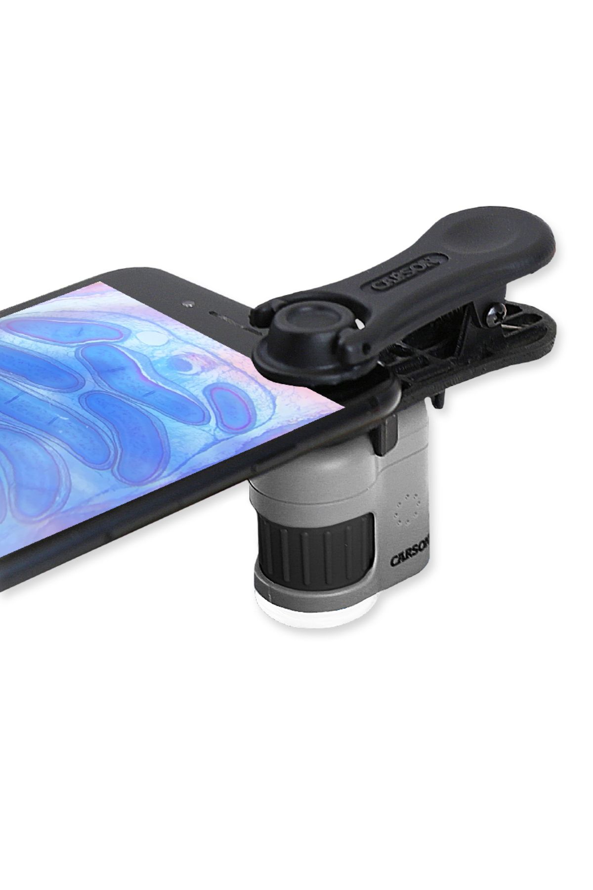 Carson-Pocket microscope with smartphone adapter, 20x magnification, MicroMini 4
