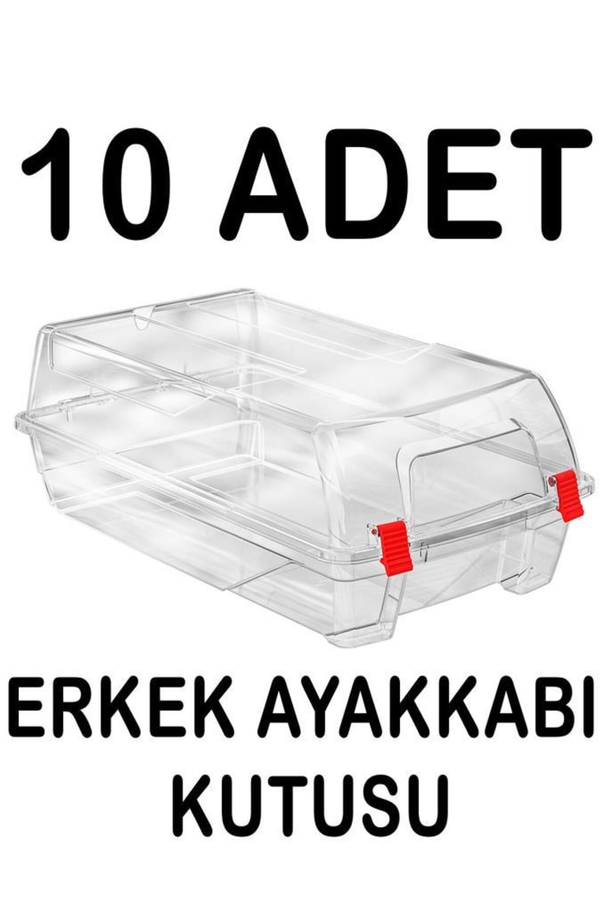 Tiesa Home Πλαστικό 10 Τμχ Διαφανές Κουτί Αποθήκευσης Ανδρικών Παπουτσιών - One Size
