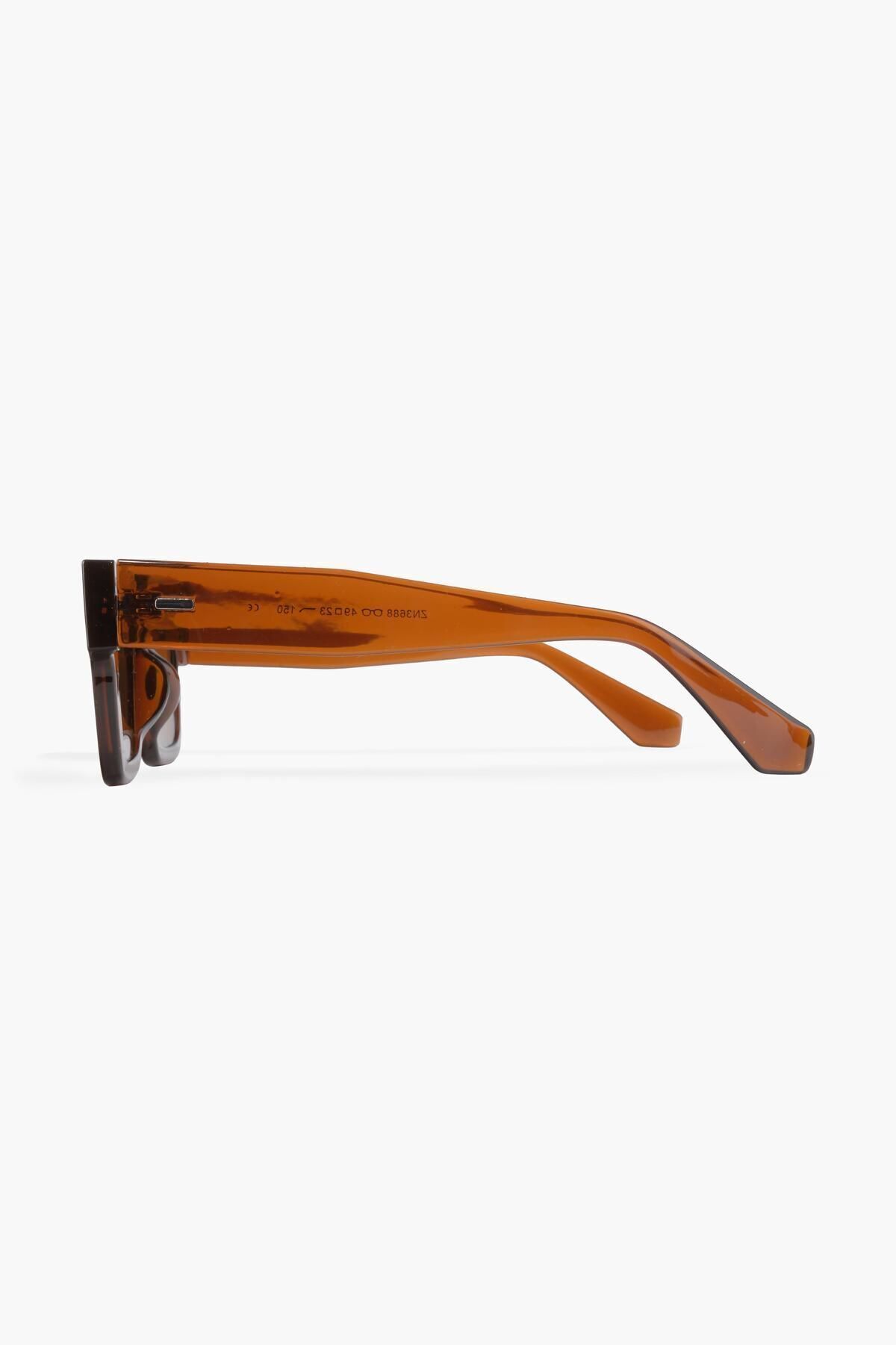 WATCHOFROYAL-Royal Eyewear Re3688 Brown Sunglasses 3