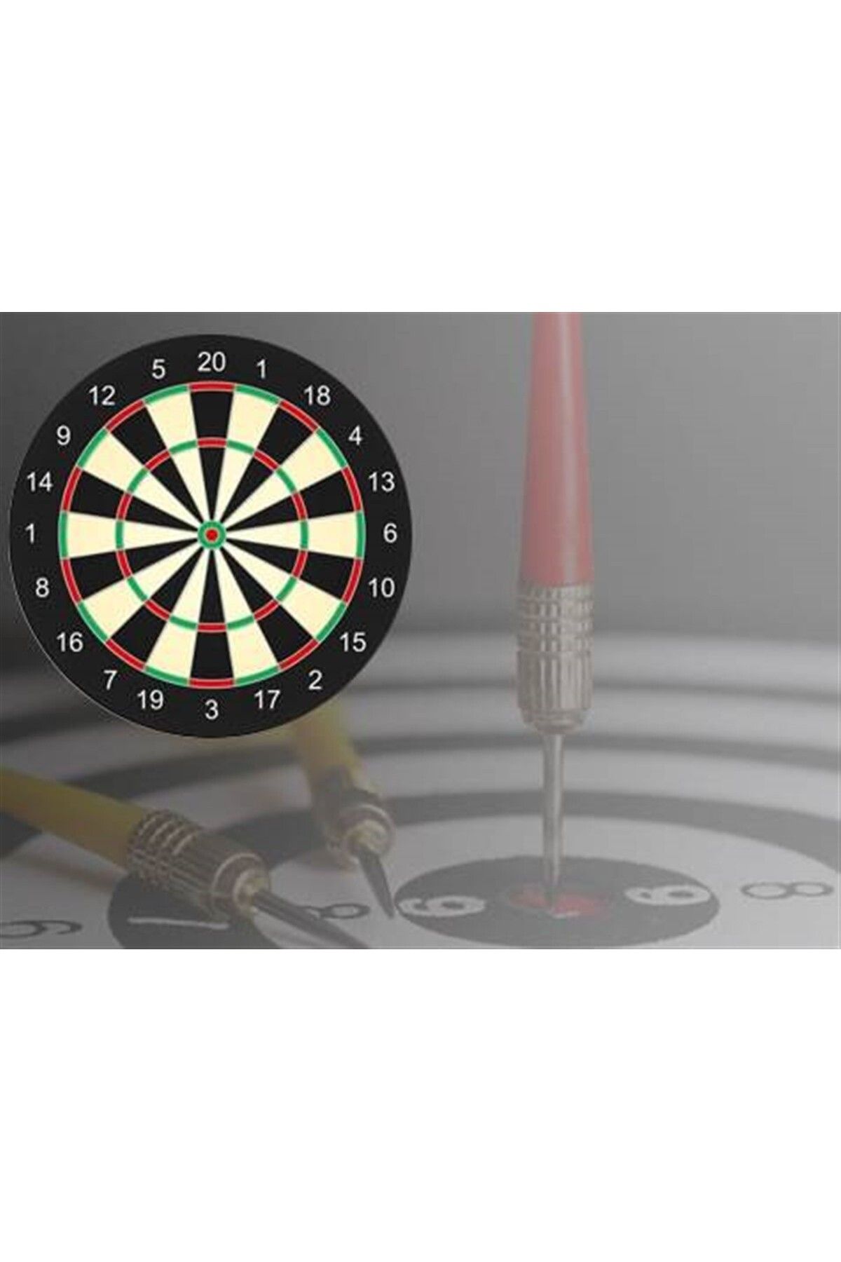 Gaders Çift Taraflı Dart Seti 28 cm 4 Adet Ok Hediyeli