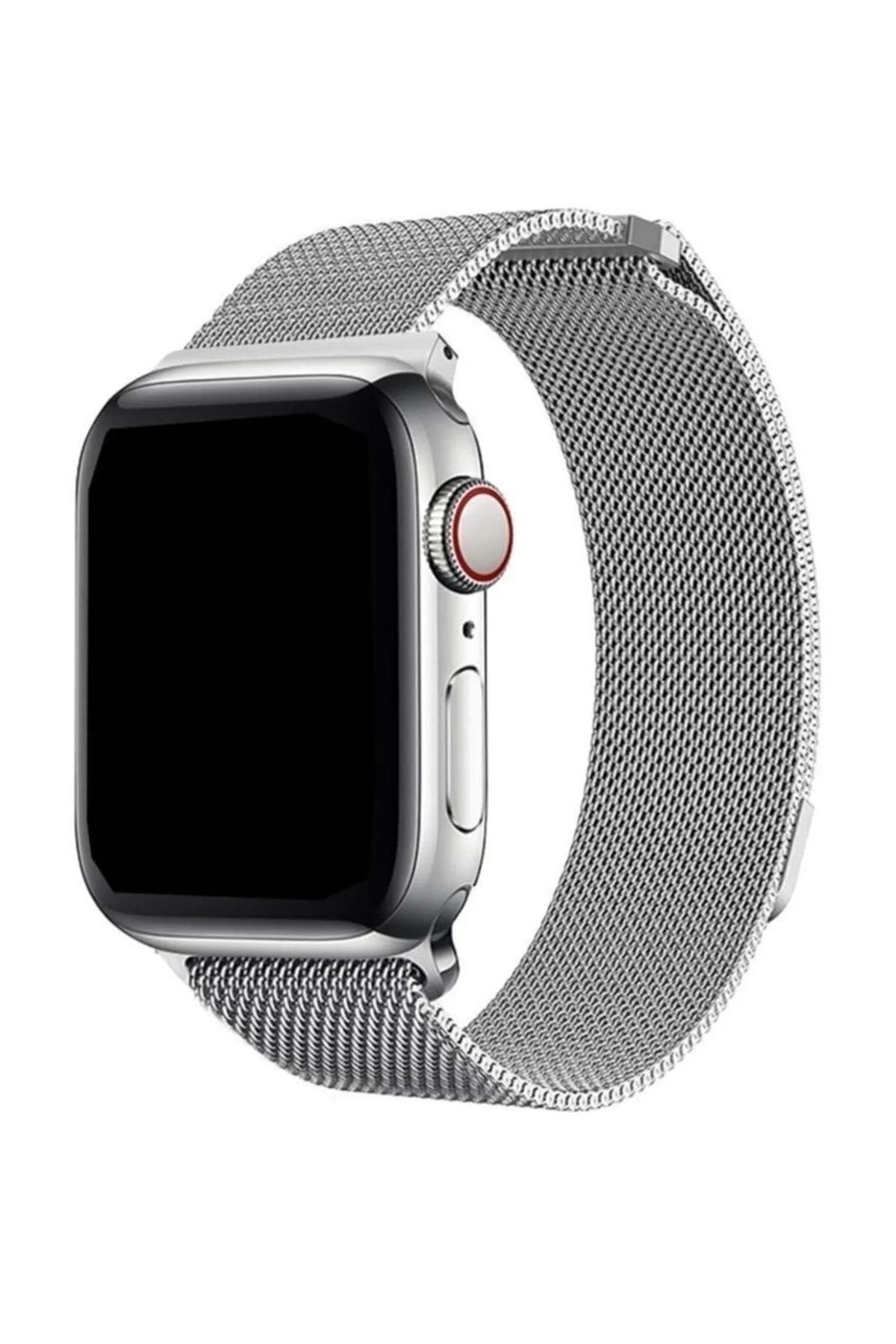 PSGT Apple Watch Uyumlu 42/44/45/49 Mm 1/2/3/4/5/6/se/7/8/9 Kordon Paslanmaz Çelik Milano 42 Loop Kordon