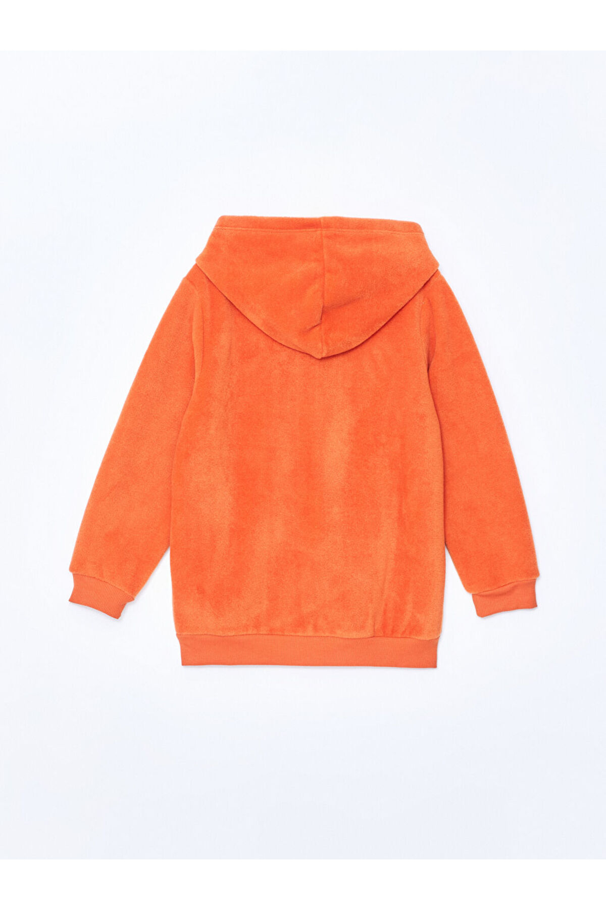 LC Waikiki LCW Bisiklet Yaka Uzun Kollu Baskılı Erkek Bebek Fermuarlı Sweatshirt fotoğrafı 5 (önizleme)