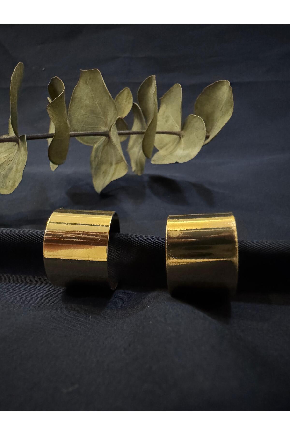 HERA-Thick Curved Earrings 2