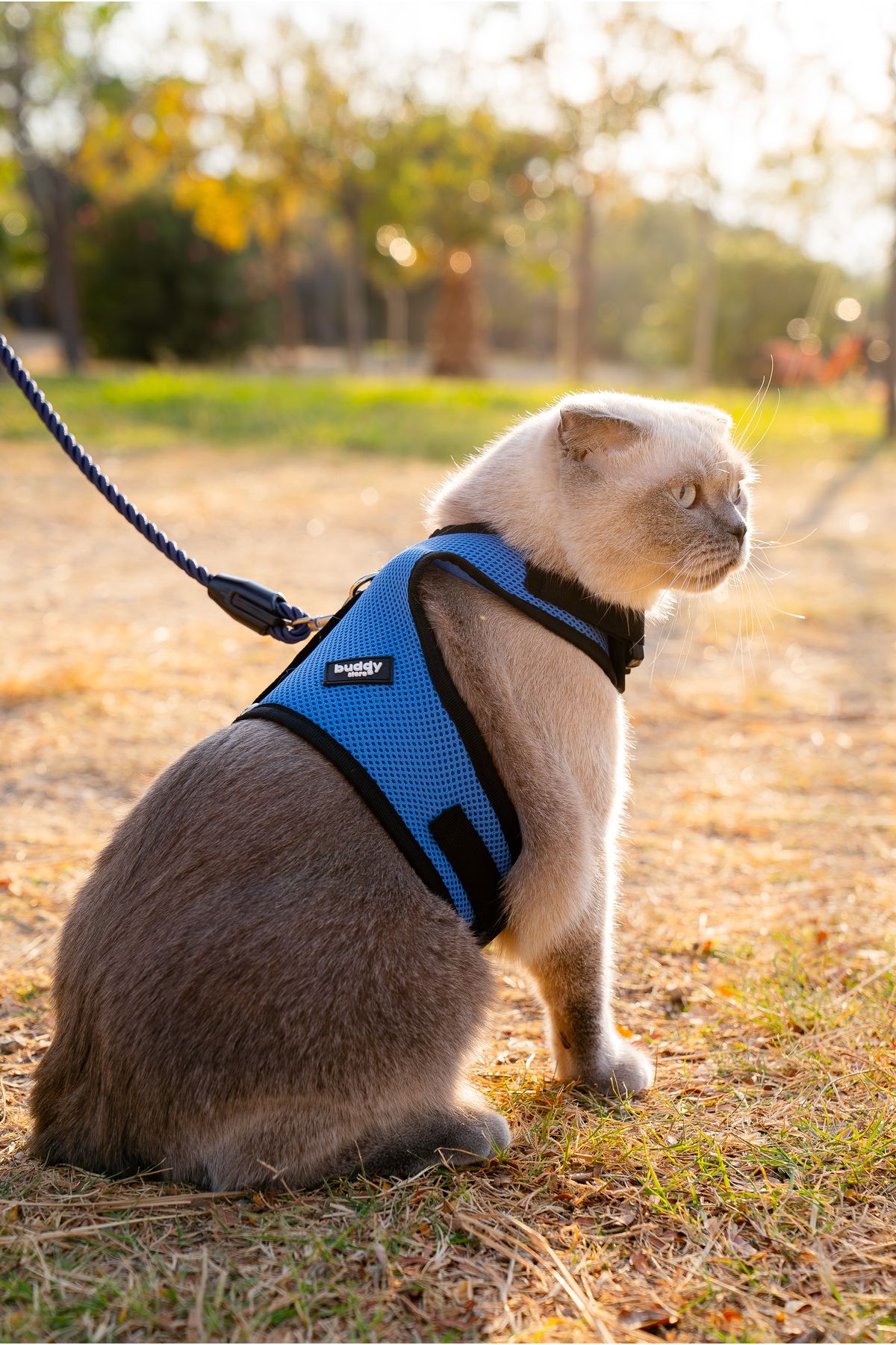 Buddy Store Kedi & Köpek Göğüs Tasması - Airmesh Yeni Nesil Nefes Alabilen Kumaş Mavi Tasma
