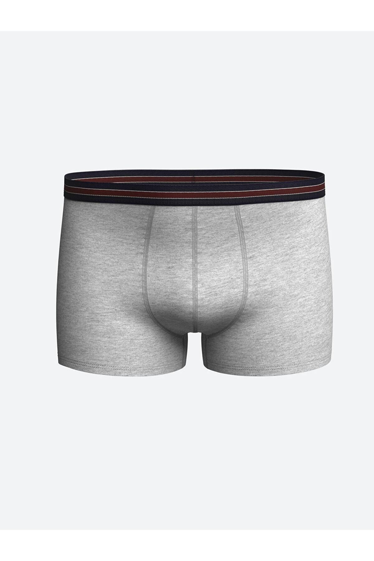 LC Waikiki-Standard Mold Cotton Flexible Men's Boxers 3-Piece 3