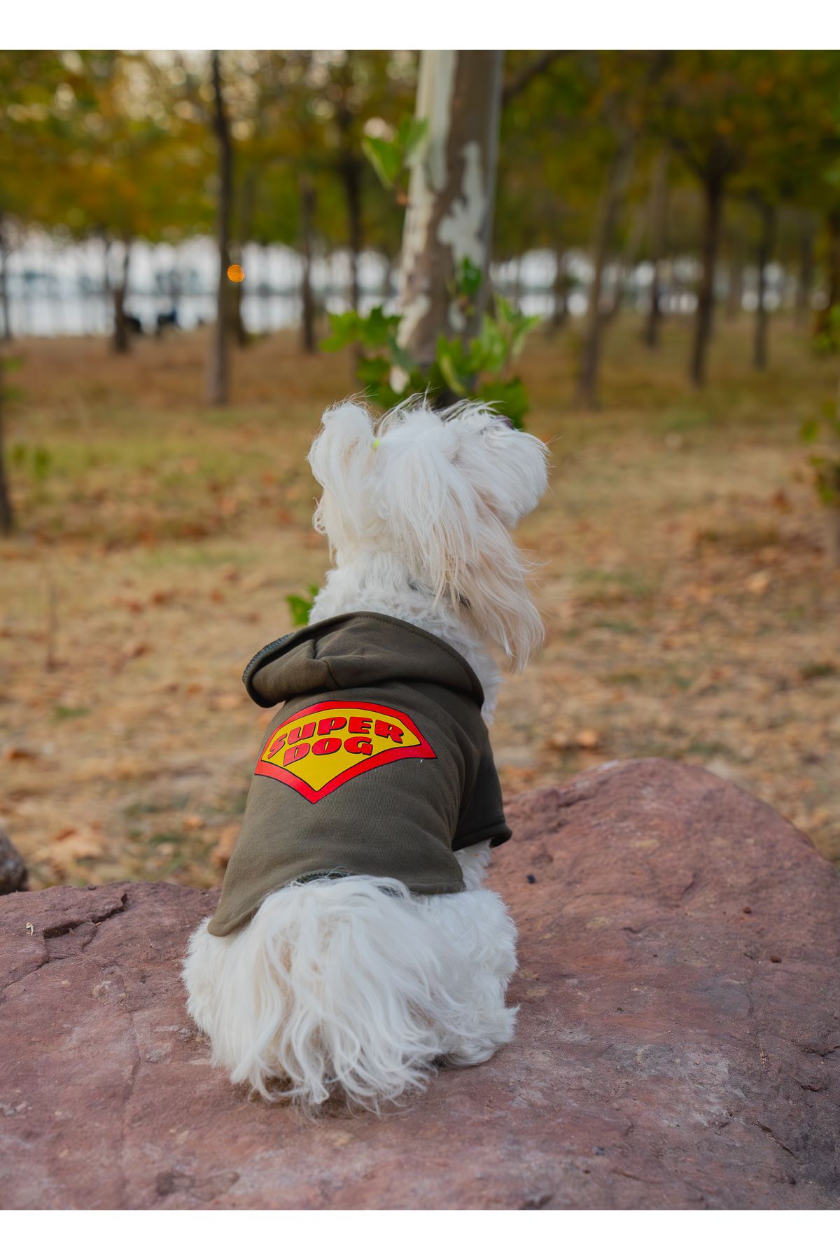 Buddy Store Kedi Köpek Kıyafeti - Süperdog Baskılı Şardonlu Kumaş Haki Yeşili Sweatshirt