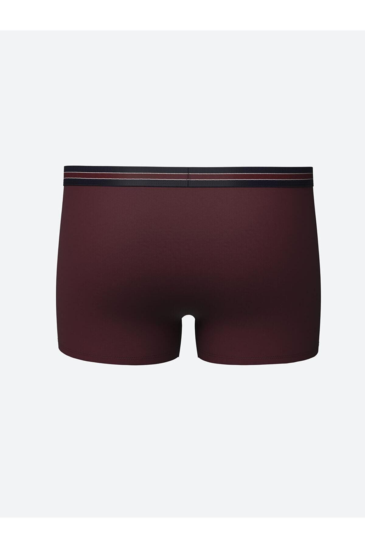 LC Waikiki-Standard Mold Cotton Flexible Men's Boxers 3-Piece 5
