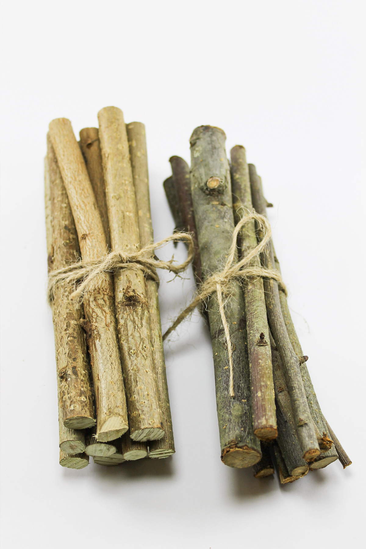 funny bunny "Kemirgenler İçin Doğal Elma ve Fındık Dalı Seti - 10 Adet Fındık Dalı ve 10 Adet Elma Dalı"