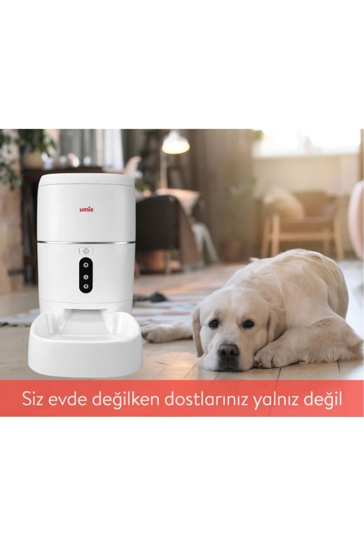 gaman-6L Capacity Voice Message Automatic Feed Container Wifi+Bt Tuya Powered Cat Dog Feeder 1
