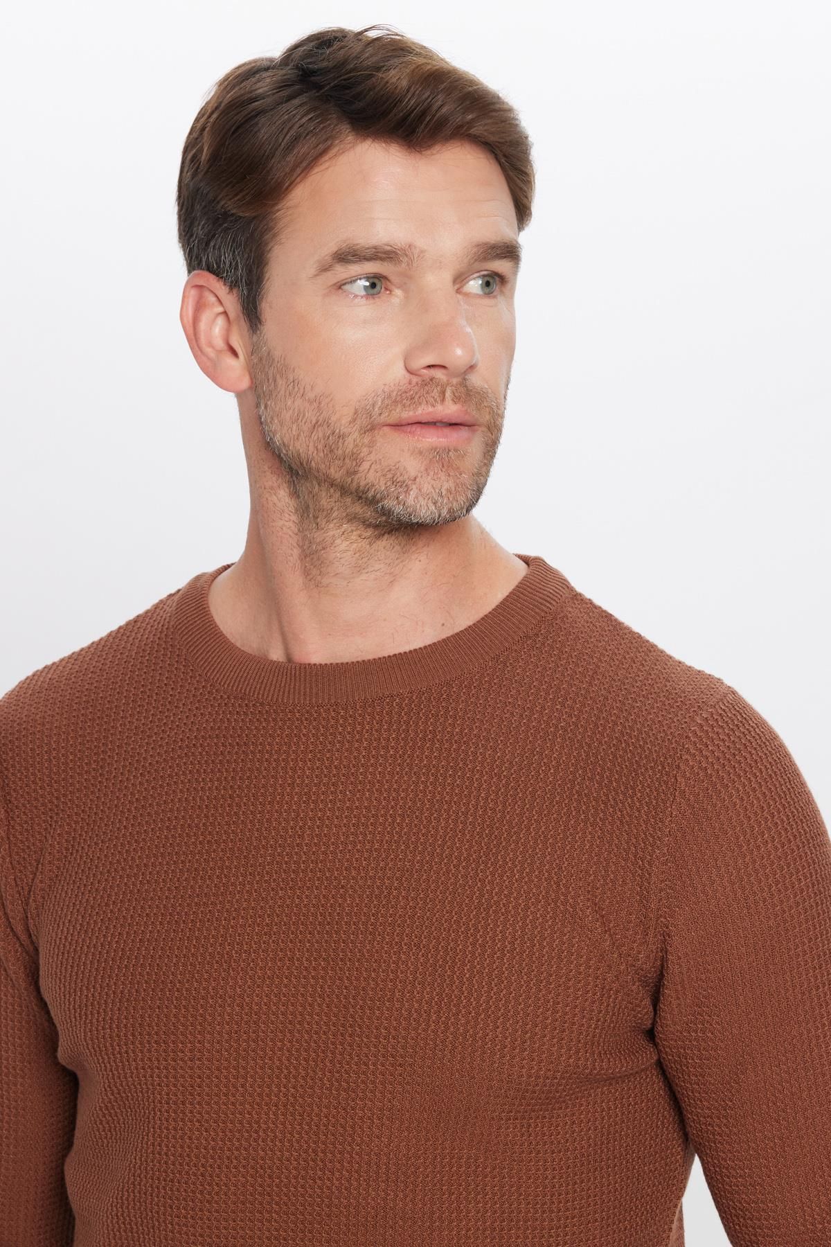 Tudors-Slim Fit Crew Neck Patterned Tan Men's Sweater 1