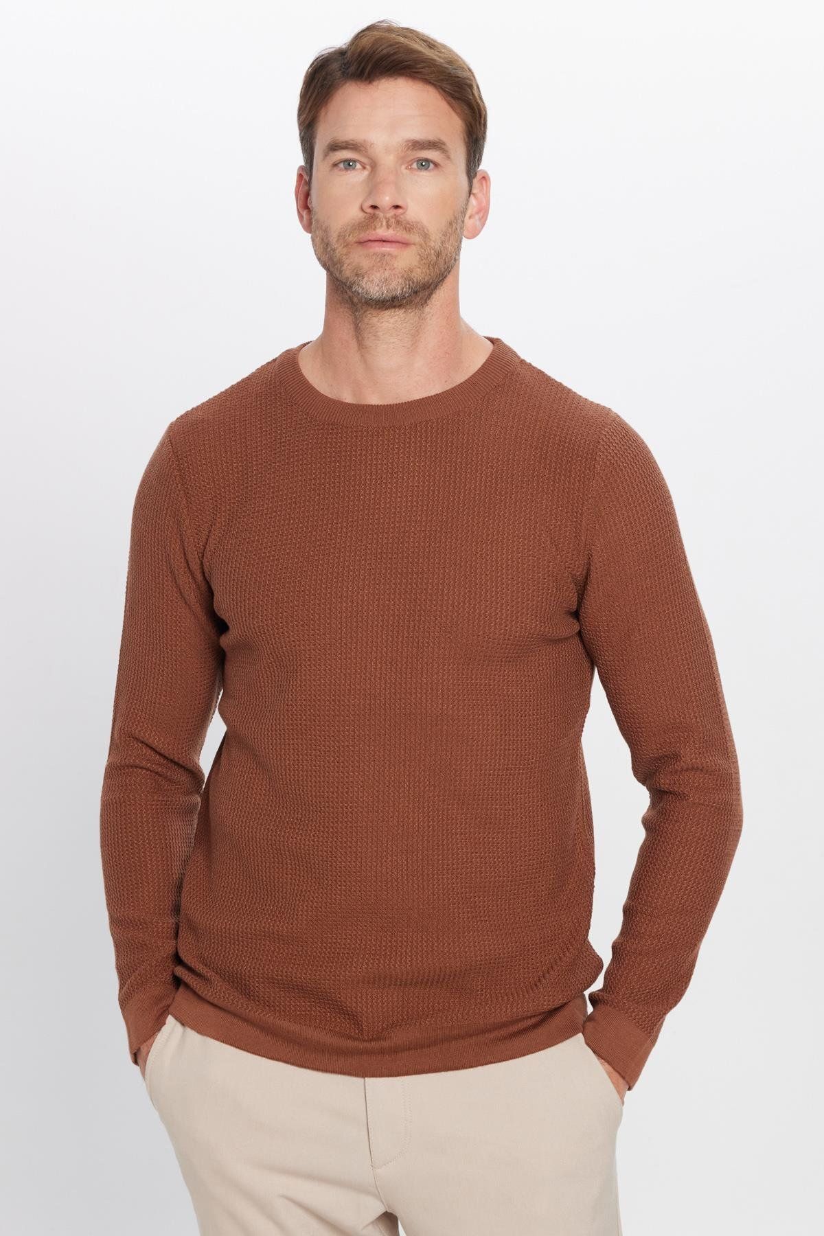 Tudors-Slim Fit Crew Neck Patterned Tan Men's Sweater 3