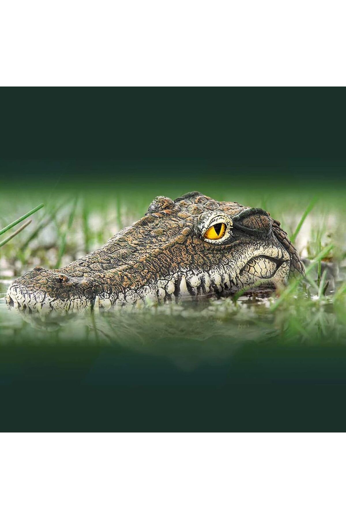 Choice-Floating Alligator Head,Alligator Head Decoy for Pool,Resin Crocodile Head for Swimming Pool / Po... 4