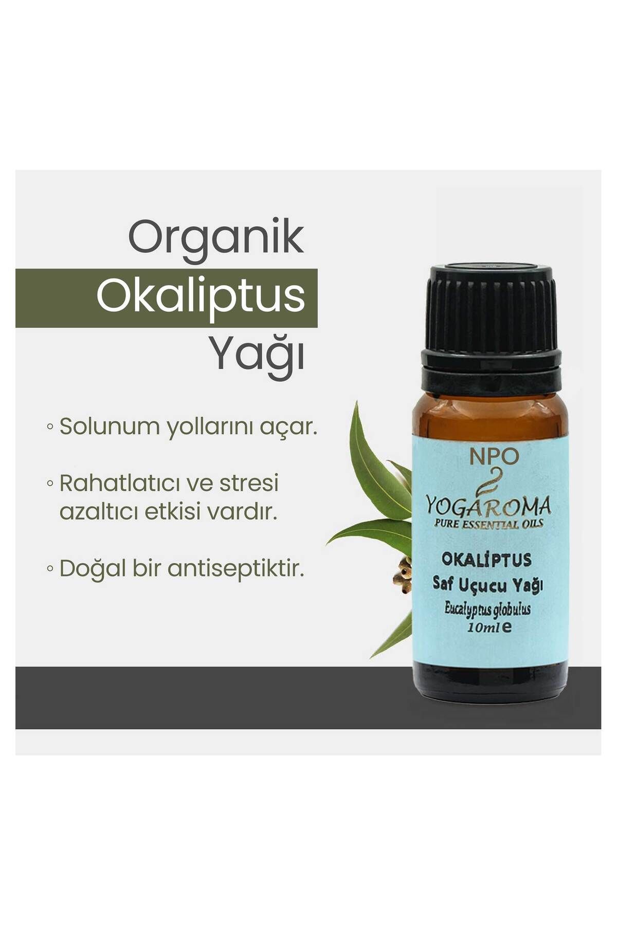 NPO-Yogaroma 10 ml Refreshing Aromatherapy Oil - Pure and Natural Eucalyptus Essential 3