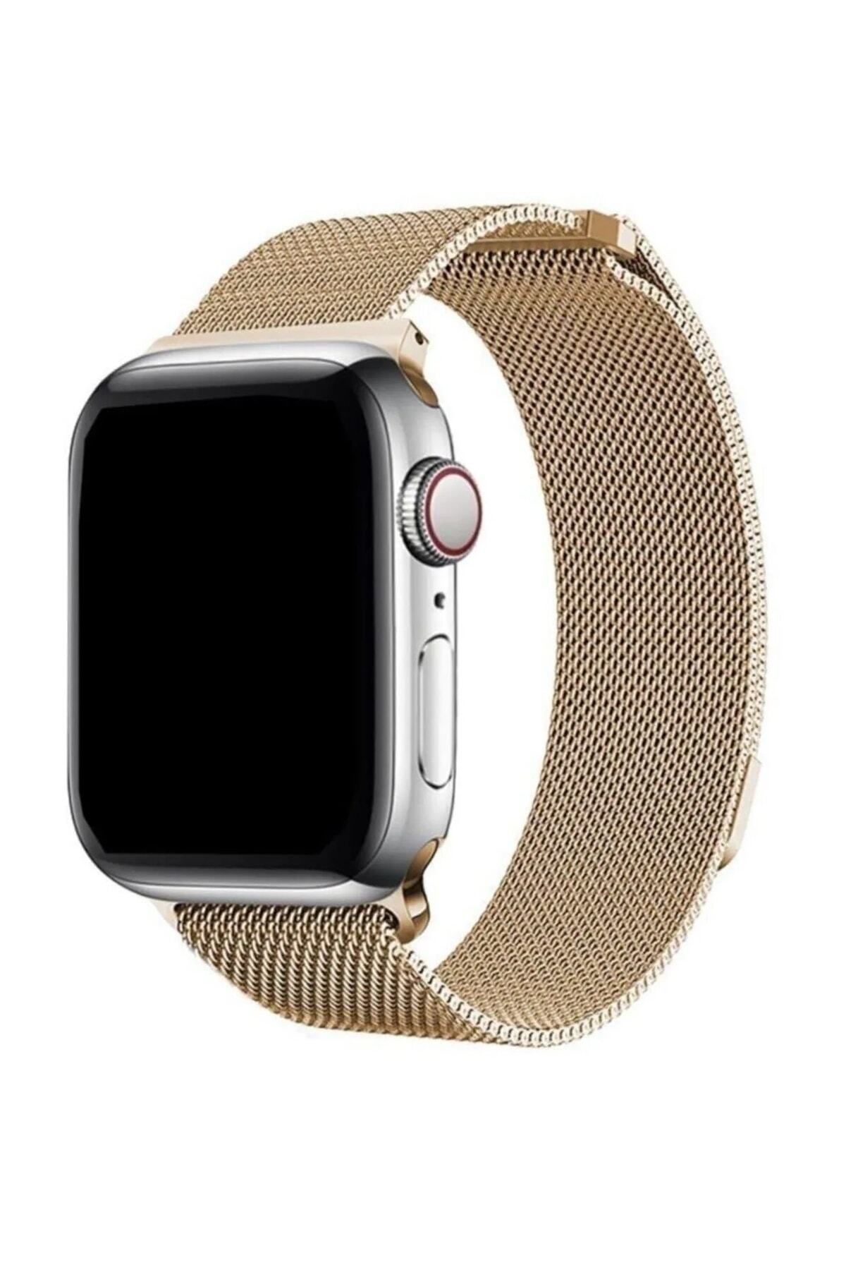 PSGT Apple Watch Uyumlu 42/ 44/45/ 49mm 1/2/3/4/5/6/se/7/8/9ultra-ultra2 Kordon Metal Loop Kordon