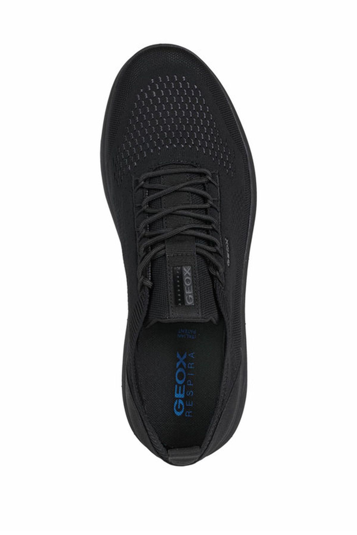 Geox-Sneaker 5