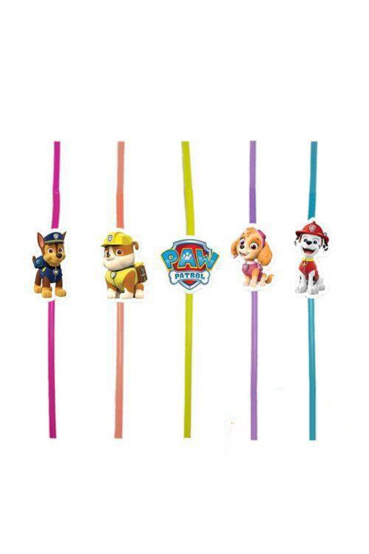 Parti Dükkanım Paw Patrol Artistik Pipet (10 Adet)