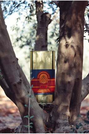 Diba Olive 5 Lt. Soğuk Sıkım Natürel Sızma Zeytinyağı %0,3 - 0,4 Asitlik