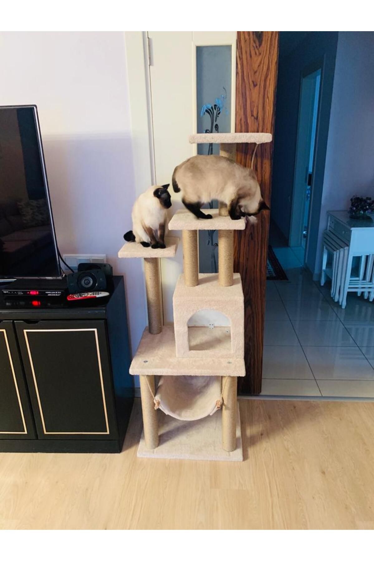 pethomealpi-Luxury Cat Scratching and Play Platform - with Hammock and Nest 3