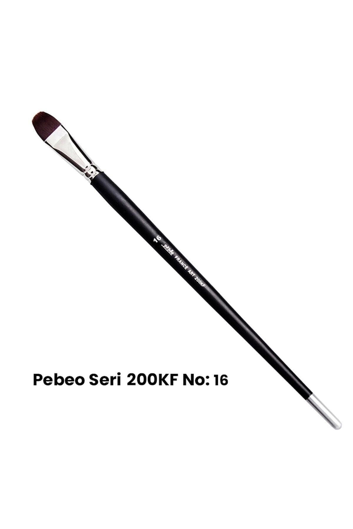 Pebeo-200kf Series Long Handle Cat Tongue Brush No: 16 1
