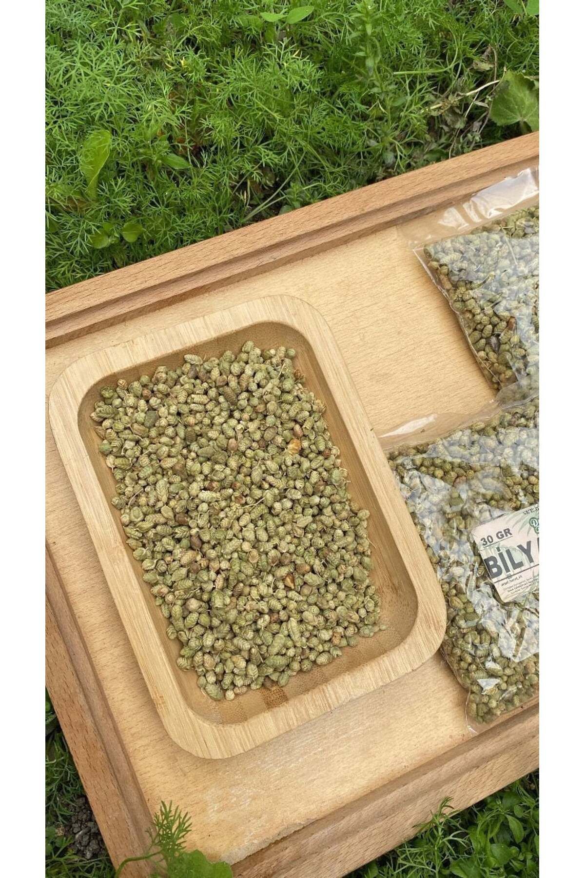 Doğal hayat 54-Ball Thyme 30 Gr / Ball Thyme 2