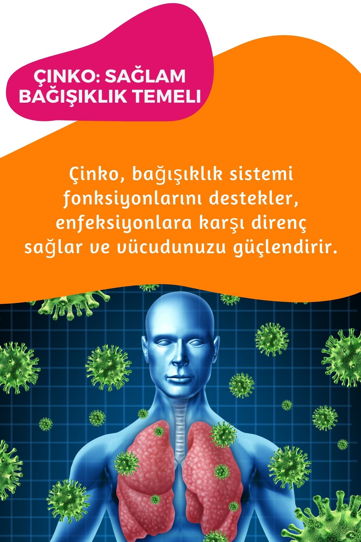 NSUP-فيتامين C + الزنك - مكمل غذائي - دعم قوي للمناعة وحماية الخلايا! 6
