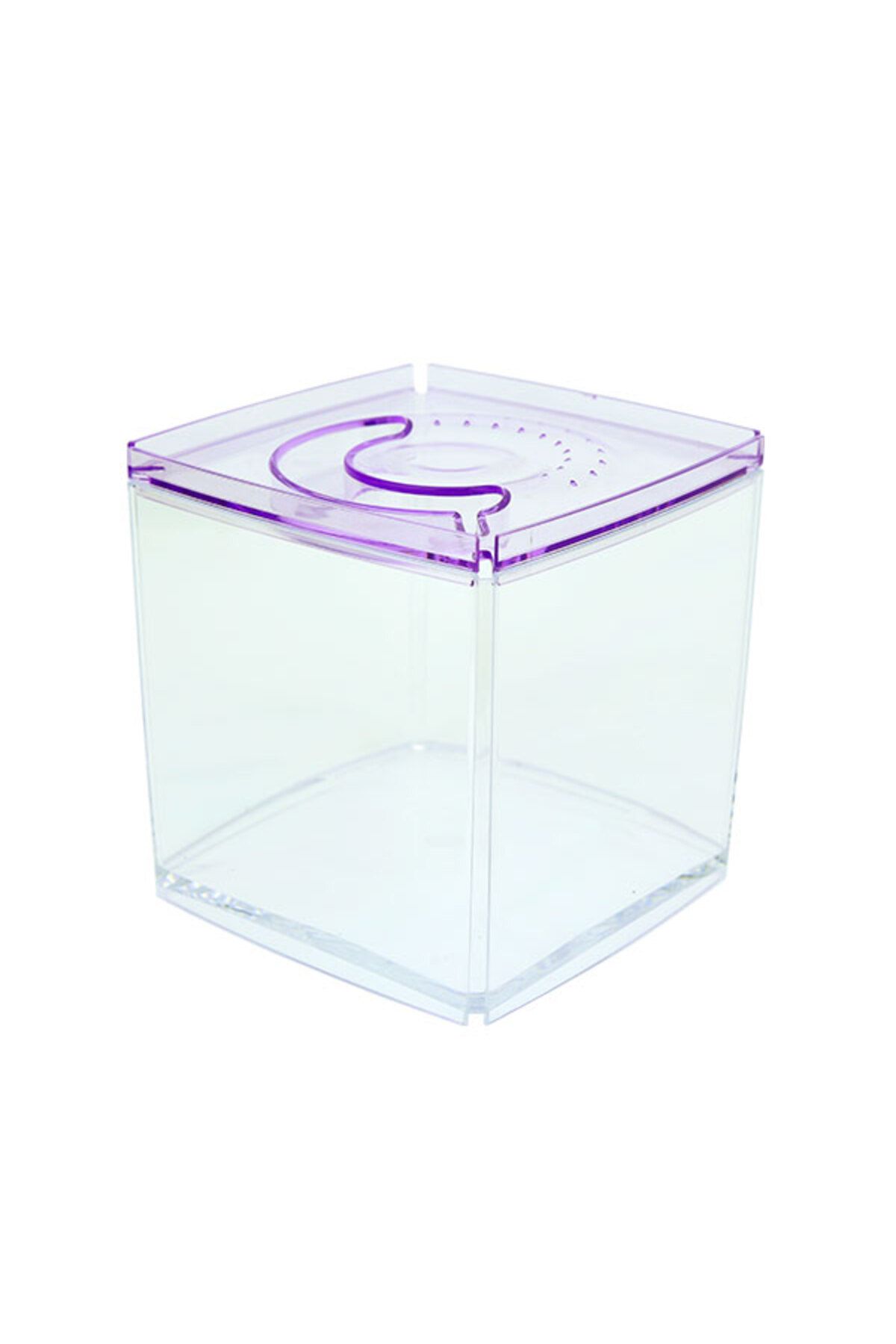 Ista Stylish Display Case - Kare Tank - Mor 524130